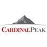 CaseCracker logo